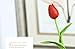 FatColo Artificial Mini Tulip Flowers, Stunning Real Touch PU Plastic Flowers for Wedding Home Room Hotel Party Event Decoration, Piece of 10 (Red)