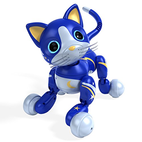 Zoomer Kitty Midnight Amazon Exclusive Buy Online in UAE. Toys And Games Products in the UAE