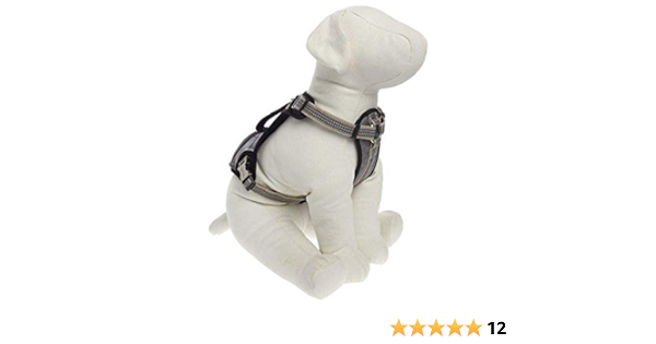 kong waste bag harness large