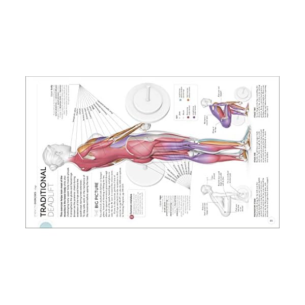 Science of Strength Training: Understand the anatomy and physiology to transform your body (DK Science of)