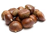 European Sweet Chestnuts Castania Chestnuts Fresh 2 Pounds 50/70 Calibre