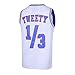 Mens Basketball Jersey 1/3 Tweety Space Jam Jersey White 90S Shirts