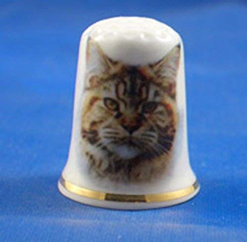 Porcelain China Thimble -- Maine Coon cat