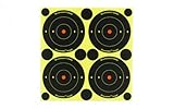 Birchwood Casey Shoot-N-C 3 Inch Round 240 Targets 600 Pasters