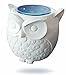 BFF For Alexa- Owl Statue Crafted Guard Station For Amazon Echo Dot 2nd And 1st generation Speaker,Jam Classic Speaker