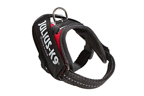 JULIUS-K9 IDC Powerharness, 3XS, no pull dog harness, French Colors