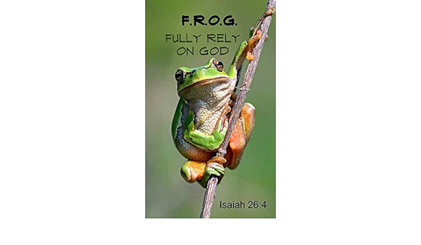 Amazon.com: Biblebanz Fully Rely On God Frog Christian Magnets (24 Count) :  Toys & Games