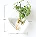 Best Idea Design Home Furnishing Geometrical Shape Wall Hung Water Planting Glass Vase