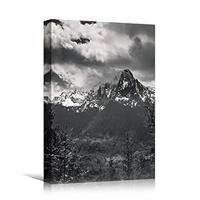 signwin Canvas Wall Art Expressive Landscape Chic Dramatic...