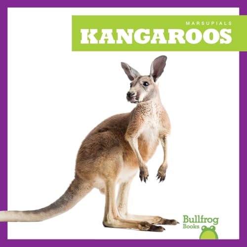 Kangaroos (Marsupials)