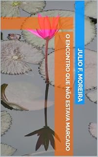 Livro O encontro que não estava marcado