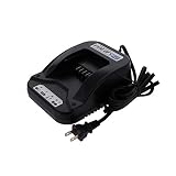 Briggs & Stratton 593561 Charger Genuine Original Equipment Manufacturer (OEM) part