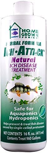 KORDON Ich Attack #96022 Natural Disease Inhibitor - 16 oz. (available 12/cs) by HomeGrown Ponics
