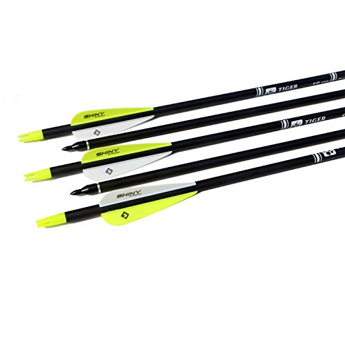 Tiger Archery 30Inch Carbon Arrow Practice Hunting Arrows with