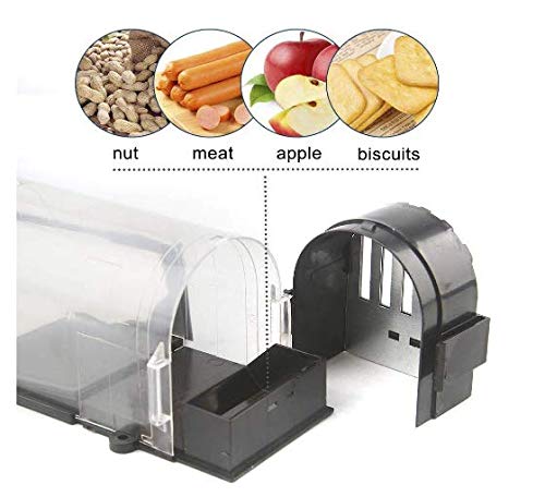 Ales Humane Mouse Trap, Reusable Rodent Trap No Kill, Plastic Catch and Release Trap, 1 Pack