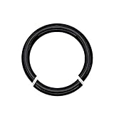 Black Anodized Titanium Over Surgical Steel Seamless Segment Ring