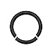 Black Anodized Titanium Over Surgical Steel Seamless Segment Ring