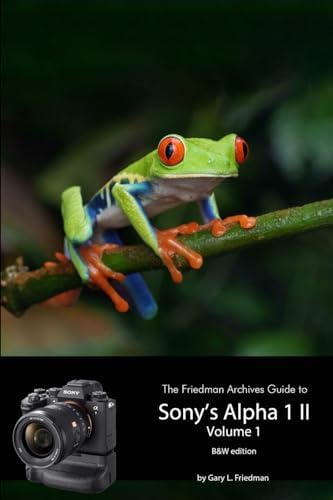 Leica: Collectors Guide: Dennis Laney: 9781874707004: Amazon.com