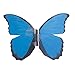 My Butterfly Collection - Animated Butterfly in a Jar - Blue Morpho