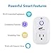 Hausbell Wifi Smart Plug Alexa Smart Plug Compatible with Alexa, Echo, Google Home, WiFi Outlet Mini Socket Remote Control No Hub Required Only Supports 2.4GHz Network, UL Listed 2 Pack (SM-PW701U)