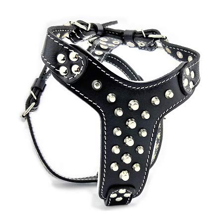 Bestia studded leather harness. French Bulldog size. 100% leather. Handmade in Europe — image 1