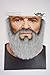 Mustaches Self Adhesive, Novelty, Old Merchant Fake Beard, False Facial Hair, Costume Accessory for Adults, Gray with White Color