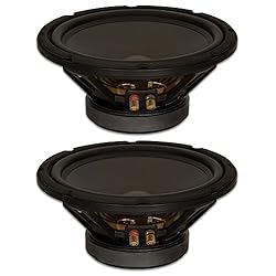 Goldwood Sound, Inc. Stage Subwoofer, Heavy Duty