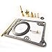 labwork New for Yamaha Blaster YFS 200 Carburetor Carb Rebuild Repair Kit New 1988-2006