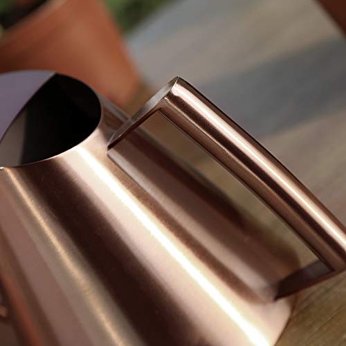 UHBGT Metal Watering Can, 13/30/50 OZ Indoor Watering Can Metal Watering Pot Outdoor Watering Can Stainless Steel Watering Can Indoor Long Spout Garden Watering Can for Plant Bonsai (Gold/Bronze)