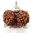 Divya Shakti 100% Original Nepali Gauri Shankar Rudraksha in Silver Cap (Gaurishankar Rudraksh) 16 M.M