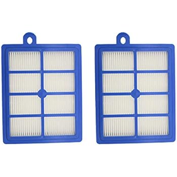 Ximoon 2 Pack Filter Replacements for Electrolux EL012W EL013W,Canister 6985 6988 6989 5010 & Eureka HEPA Filter, Part # H12 H13 HF12 HF1 60286A