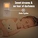LED Night Lights with Dusk to Dawn Sensor - Pack of 2 Plug In Night Light - Color Changing Ultra Slim & Compact Energy Efficient Led Lights Prime