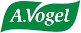 A.Vogel Echinaforce Chewable Tablets 80 for Cold & Flu Echinacea Extracts view 7