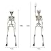 proxracer 36'' Halloween Skeleton Life Size, Sound Activated with Illuminated Eye for Halloween Prop Graveyard Decorations