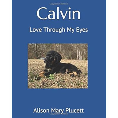 Calvin: Love Through My Eyes Calvin: Love Through My Eyes