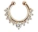 Honbay 2 Piece Clip on Jewelry Creative Fake Septum Clicker Nose Ring