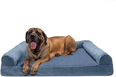 giant dog couch
