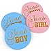 Baby Nest Designs - Gender Reveal Stickers Games Team Boy & Team Girl (80 Pieces) - Perfect Gender Reveal Party Supplies - Gold Foil Stamping - Hand-Drawn Art in The USA - Easy Peel-Off primary