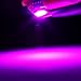 cciyu 20Pcs Pink/Purple B8.4D 1SMD 5050 LED Instrument Cluster Dash Indicator Light Bulb