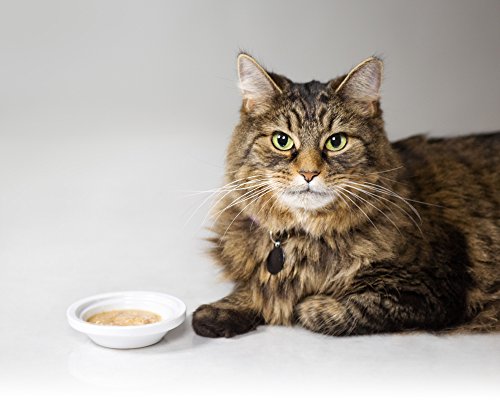 Delectables Chowder Lickable Wet Cat Treats - Chicken & Tuna - 12 Pack