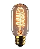 Vintage Edison Bulbs, Rolay 25 Watt T45 Edison Style Square Spiral Filament Incandescent Light Bulb, 1 Pack