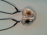 Real Scorpion Necklaces - Golden Scorpion and Black Scorpion in Two Halves of a Clear See Thru Heart - 1.25