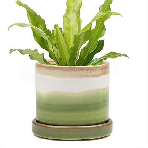 Chive Big Minute Indoor & Outdoor Planter Plant Pot and Saucer Green