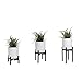 Sona Home Indoor Plant Stand - Mid Century Modern with 3 Sizes - 3 Colors, Stands for Planters, Wood Plant Stand, Pot Stand Fits Up to 12 Inches, Plant Holders Indoor Stand Only (Med, Black)