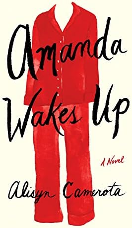 Amanda Wakes Up Hardcover โ July 25, 2017