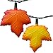 Fall Harvest Leaves Party String Lights