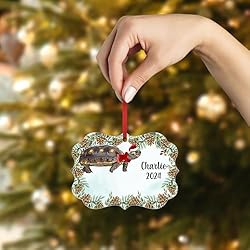 Red Footed Tortoise Christmas Ornament 2024