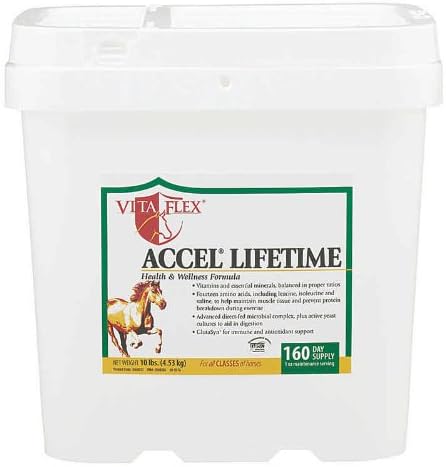 Vita Flex ACCEL Lifetime