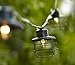 Metal Cage Lantern String Party Lights - 10 Light Strand