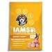IAMS PROACTIVE HEALTH Smart Puppy Premium Dry Dog Food (1) 15 Pound Bag primary